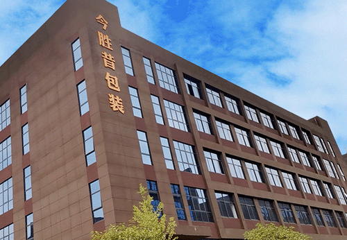 17歲小巨人張子宇助中國女籃力克韓國